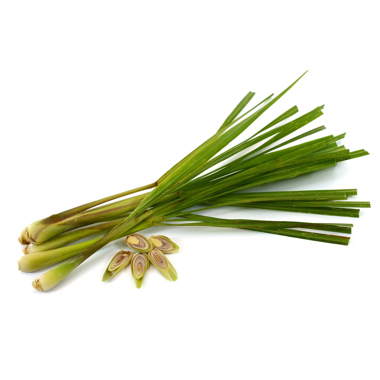 Citronnelle de Madagascar